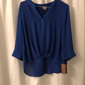 Cremieux Blue Blouse
